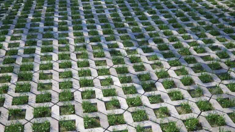 Grass Paver Blocks: Benefits and Considerations